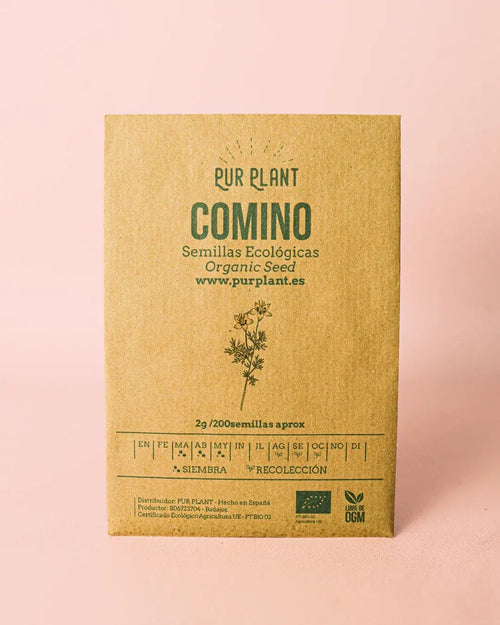 Semillas de Comino - Pur Plant