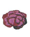 Sementes de Alface Folha de Carvalho