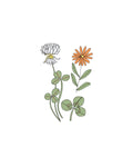 Sementes de Mistura de Flores de Outono