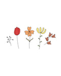 Sementes de Mistura de Flores de Primavera