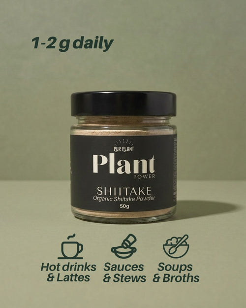 shiitake use 