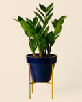 Suporte Dourado para Vasos 15 cm