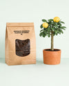 sustrato-organico-para-plantas-de-exterior-2