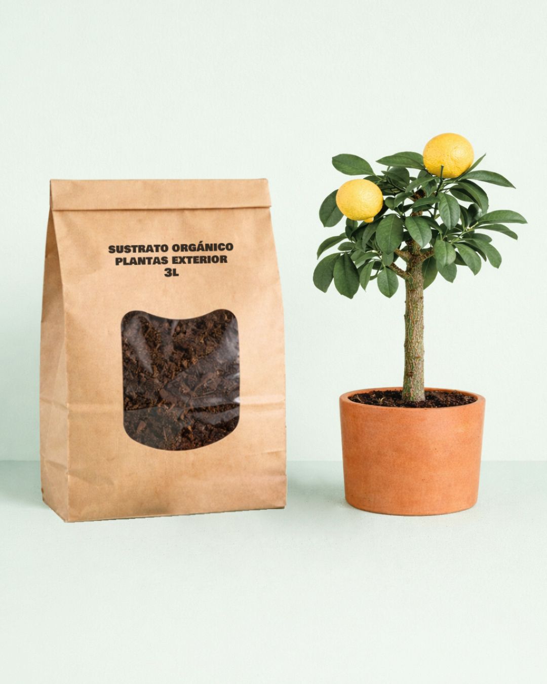 sustrato-organico-para-plantas-de-exterior-2