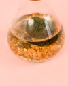 Terrario Balance – Marimo Ball Mix Mini - Pur Plant
