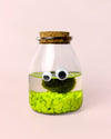 Terrario Little Monster – Marimo Ball Mini - Pur Plant