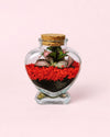 Terrario Red Love – Fittonia Mini - Pur Plant