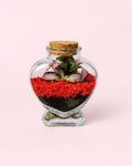 Terrário Red Love – Fitónia Mini