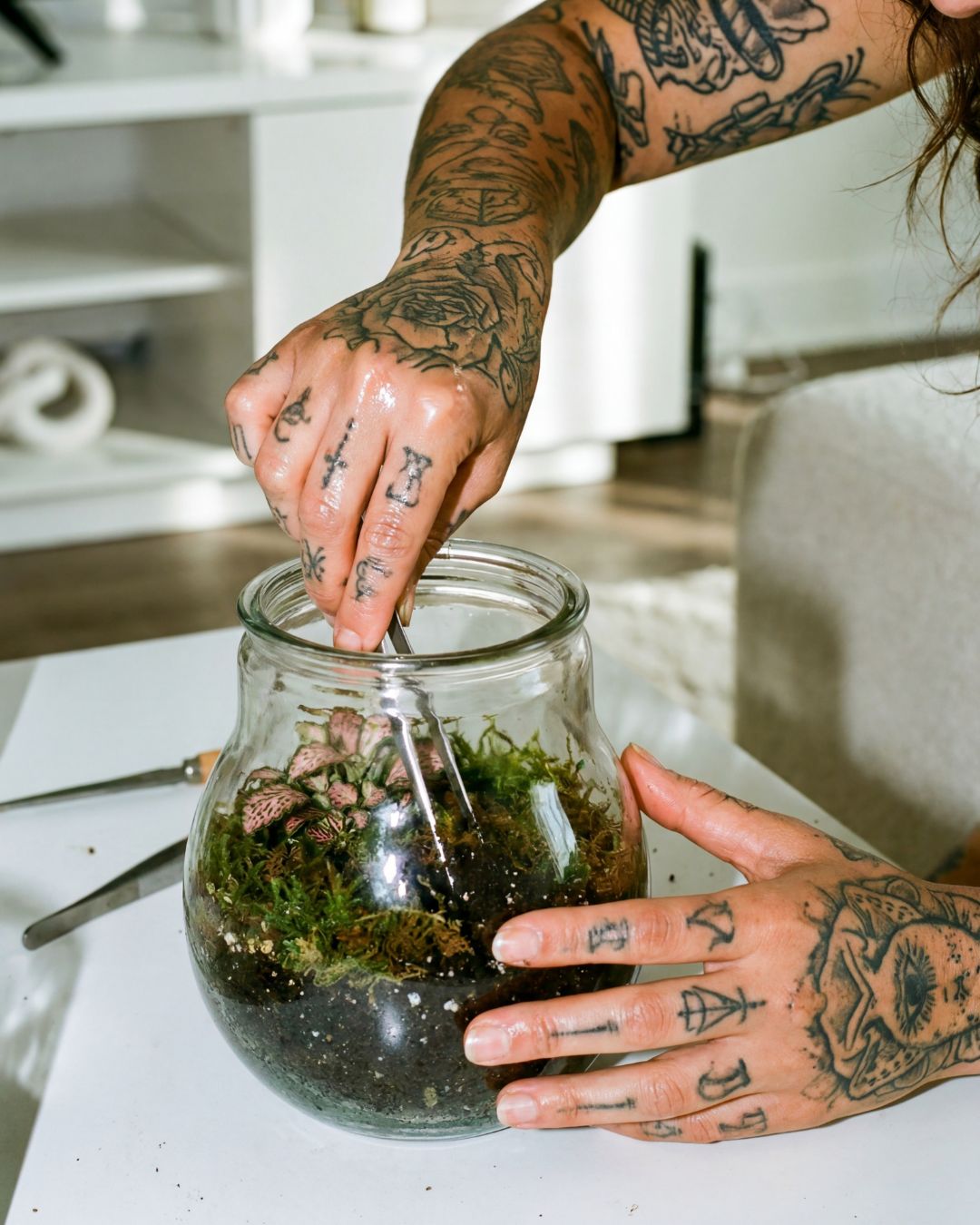 Terrários para Plantas Barcelona