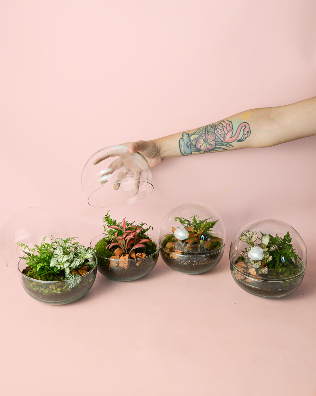 terrarios-earth_jardin-eterno