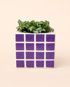 Tile – Mini Maceta Cerámica Morada 9 cm - Pur Plant