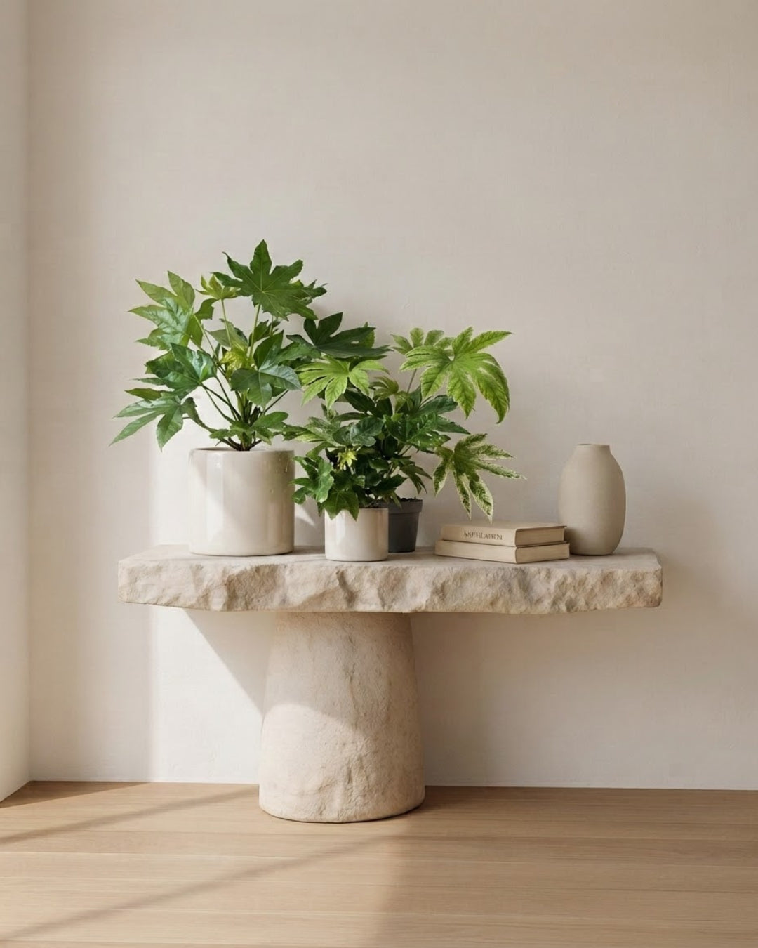 Tipos de Fatsia