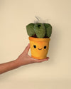Toy Plant – Cactus - Pur Plant