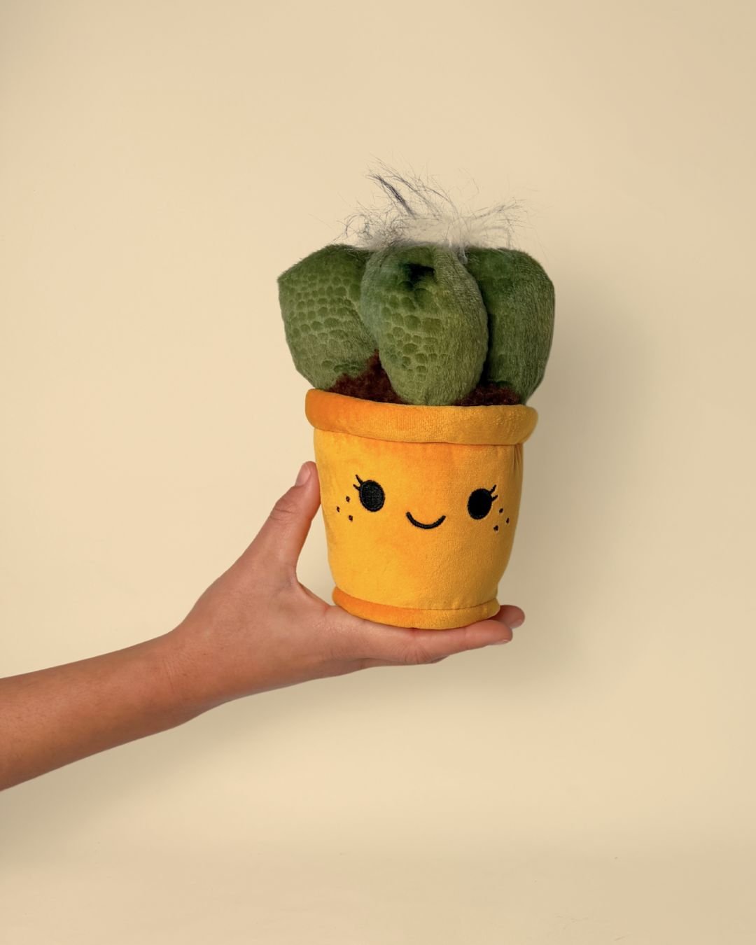 Toy Plant – Cactus - Pur Plant