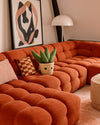 Toy Plant – Sansevieria - Pur Plant