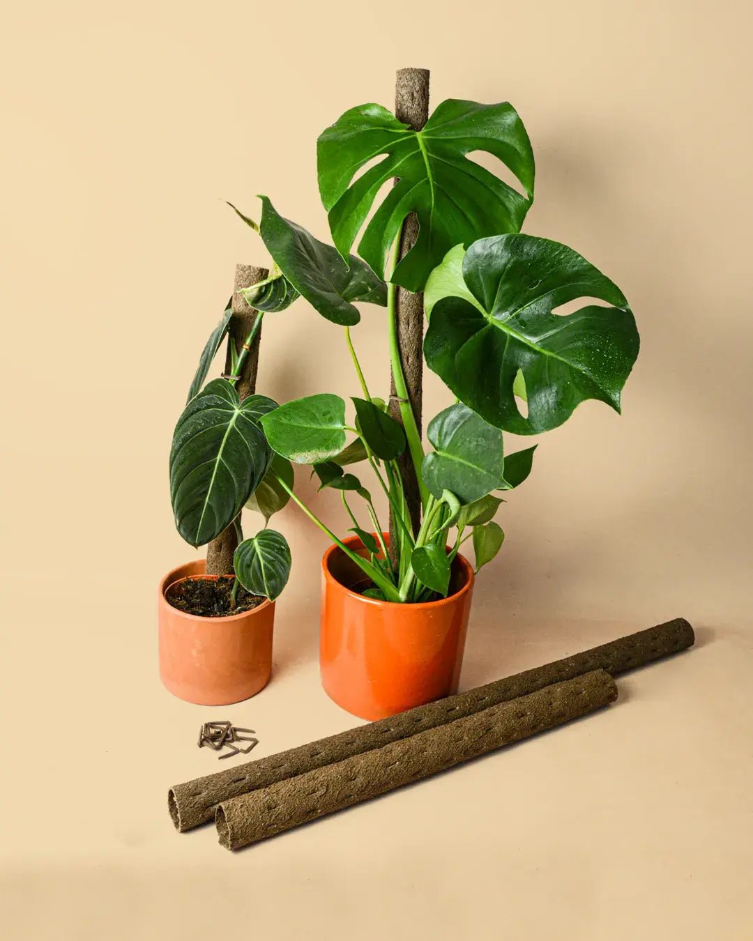 Tutor Natural para Plantas 51 cm - Pur Plant