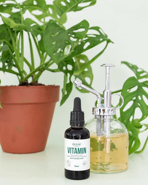 vitamin-aminoacidos-maceta_2