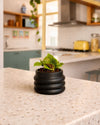 Wave – Mini Maceta Black 6 cm - Pur Plant