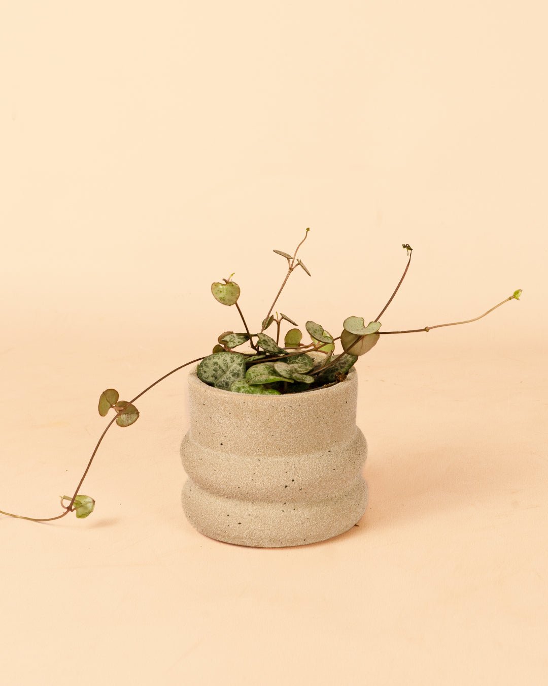 Wave - Mini Maceta Cerámica Arena 6 cm - Pur Plant