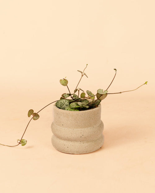 Wave - Mini Maceta Cerámica Arena 6 cm - Pur Plant