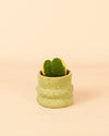Wave – Mini Maceta Cerámica Green 6 cm - Pur Plant